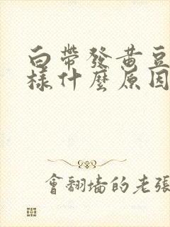 白带发黄豆腐渣样什么原因