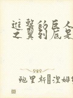 进击的巨人自由之翼到底是啥