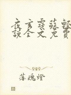 夜玄霆苏轻妩小说全文免费阅读