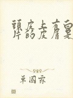 头皮上有白色大片的皮屑是怎么回事