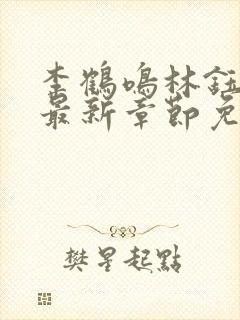 李鹤鸣林钰小说最新章节免费阅读封面