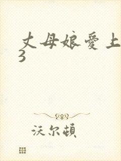 丈母娘爱上女婿3