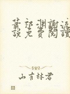 萧祁渊谢流铮小说免费阅读最新章节