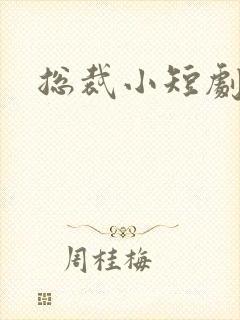 总裁小短剧