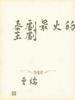 泰剧最火的双男主剧