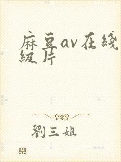 麻豆av在线一级片