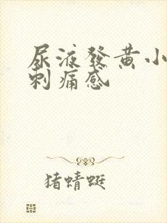 尿液发黄小便有刺痛感封面