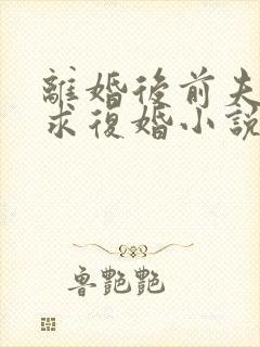 离婚后前夫哭着求复婚小说全文免费