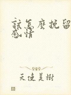 该怎么挽留一段感情封面