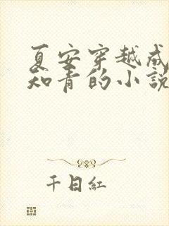 夏安穿越成下乡知青的小说