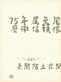 75年属兔用什么微信头像好