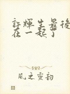 许辉生最后和谁在一起了封面