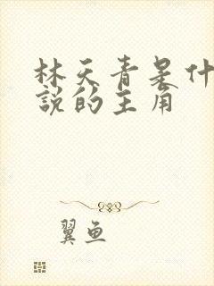 林天青是什么小说的主角封面