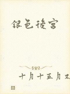银色后宫