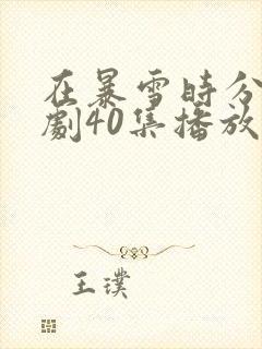 在暴雪时分电视剧40集播放