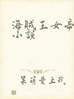 海贼王女帝同人小说封面