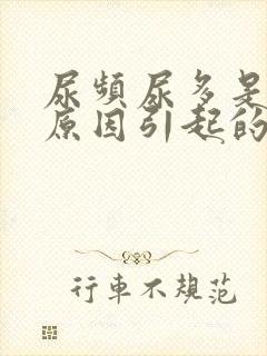 尿频尿多是什么原因引起的