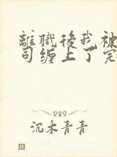 离职后我被前上司缠上了完整版封面