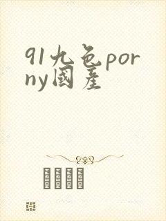 91九色porny国产