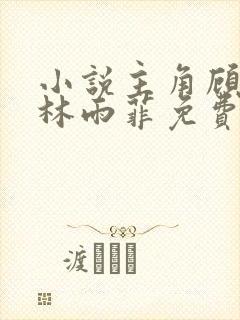 小说主角顾北潇林雨菲免费阅读