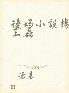 后妈小说杨晓芬王磊