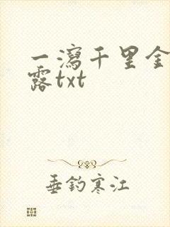 一泻千里金银花露txt