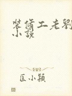 装修工老刘林雪小说