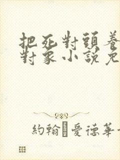 把死对头养成了对象小说免费阅读