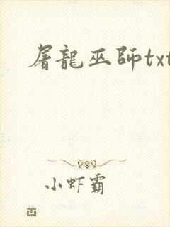 屠龙巫师txt