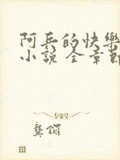 阿兵的快乐生活小说 全章节阅读免费