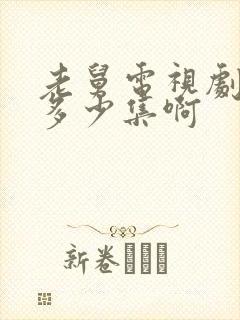 老舅电视剧一共多少集啊