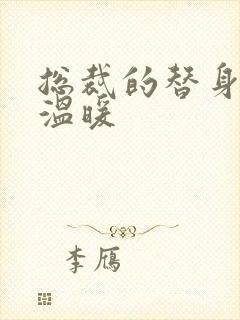 总裁的替身前妻温暖