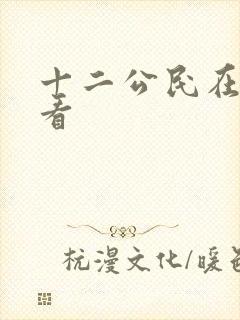 十二公民在线观看封面