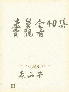 老舅全40集免费观看