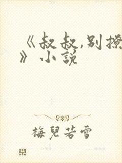 《叔叔,别撩我》小说