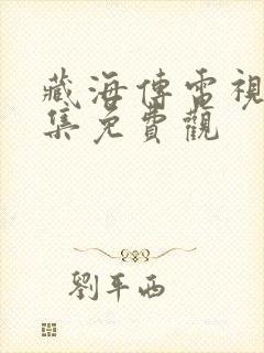 藏海传电视剧全集免费观封面