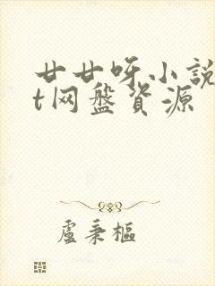 廿廿呀小说txt网盘资源