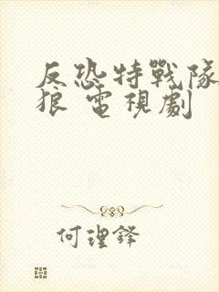 反恐特战队之天狼 电视剧