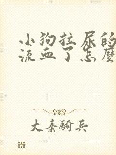 小狗拉尿的地方流血了怎么办