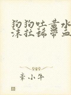 狗狗吐黄水带泡沫拉稀带血封面