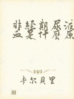 非经期尿液里有血是什么原因