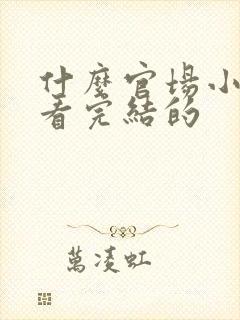 什么官场小说好看完结的封面