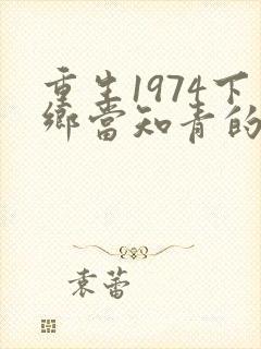 重生1974下乡当知青的小说