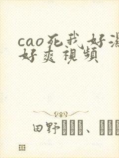 cao死我好湿好爽视频