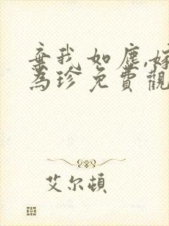 弃我如尘,嫁你为珍免费观看封面