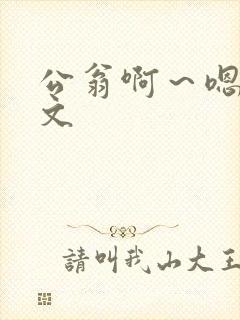 公翁啊～嗯啊h文