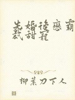 先婚后恋霸道总裁甜宠