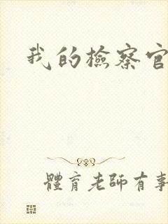 我的检察官先生