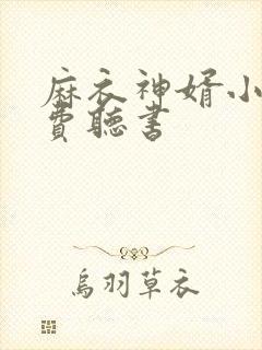 麻衣神婿小说免费听书