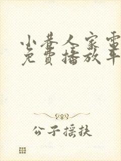 小巷人家电视剧免费播放平台